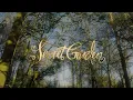 Secret Garden - Adagio (Remastered 2025 / Visualizer)