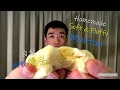 Download Lagu Best Mantou Recipe - Homemade Chinese Steamed Buns