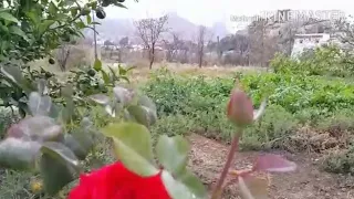 دعاء اصبحنا واصبح الملك لله من اذكار الصباح تصوير وإخراج عمرالثقفي 