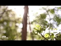 Renew | Solo Guitar | Ken Verheecke