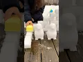 Wow Kids Play OutdOor