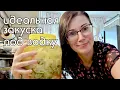 Download Lagu Заехали в русский магазин. Где загорают в Германии. Вечер в Дюссельдорфе, такого в нашей деревне нет