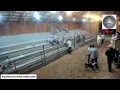 BURRELL LIVESTOCK AUCTION INC