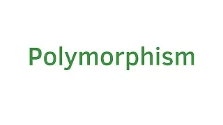 Polymorphism in JAVA Part-1 Tutorial 14