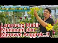 Download Lagu PANDUAN LENGKAP Cara Menanam, Merawat Dan Memupuk Anggrek Agar Subur, Sehat dan Cepat Berbunga..!