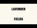 Lagu Nick Cave \u0026 Warren Ellis - Lavender Fields (Official Lyric Video)