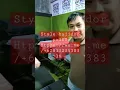 Download Lagu style bajidor korg pa300 #bajidoran #korgpa300