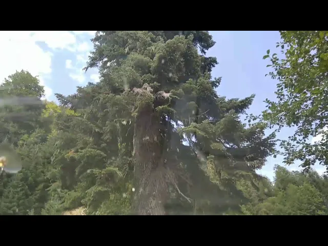 ლებარდეს გზა ულამაზესი ადგილები