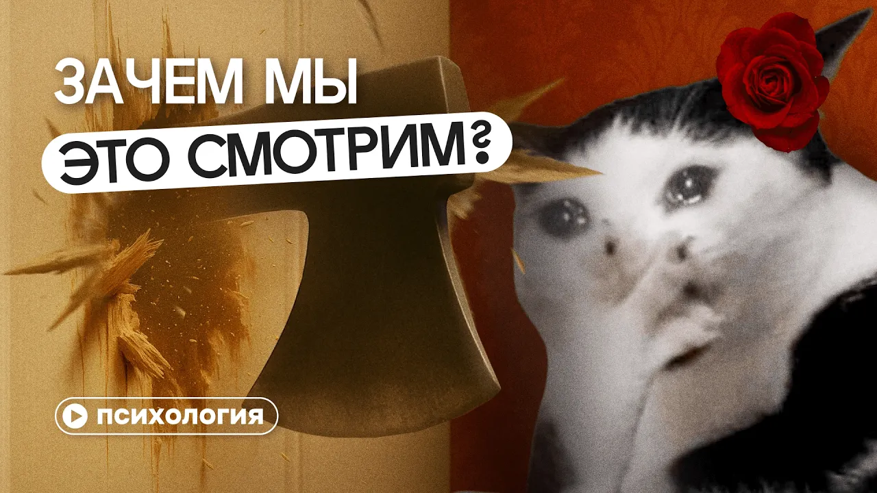 Снос домов цыган под дабстеп: почему ты наслаждаешься чужим горем?