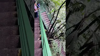 Costa Rica ত 500 steps তললৈ আৰু 500 steps ওপৰলৈ উঠি জলপ্ৰপাত চাবলৈ গৈছিলো