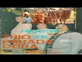 Download Lagu #SERTANEJO RAIZ# A MOÇA DO CARRO DE BOI-TRIO PARADA DURA