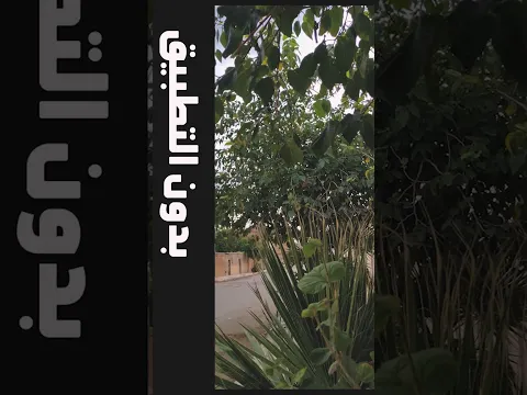 كيف تحول كاميرا هاتفك الضعيفة الى كاميرا خرافية تصور فيديوهات 4k