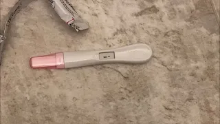 14 DPO Negative Pregnancy Test