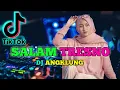 Download Lagu Dj (Tiktok) Salam tresno versi Angklung \