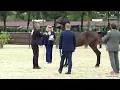Download Lagu N 21 ALEPH MALVINA   ANICA National Championship 2025   Fillies 2 Years Old Class 2