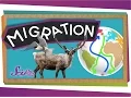 Migrations Big Animal Trips Science for Kids