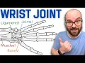 Anatomy of the Wrist Radiocarpal Joint Bones Ligaments and Muscles