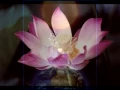 Download Lagu Om AmmaBhagavan - Oneness Meditation Chant - Theo Hirschi