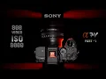 Dual Base ISOs Of Sony A7V Are ISO800 And ISO 8000 But Are Unequal - Sony A7V Part 1