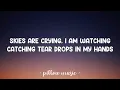 Download Lagu Skyscraper-Demi Lovato 🎶(Lyrics),🎶