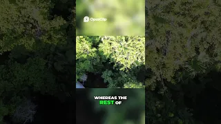 Clip from a video we made while in Barbuba – Link to full episode in the description below