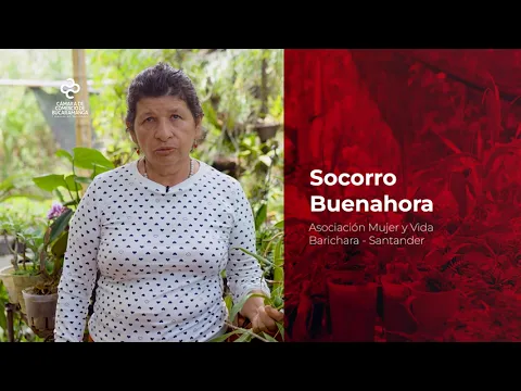  Impulso Empresarial - Asociación Mujer y Vida