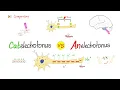 Catelectrotonus vs Anelectrotonus - Comparison