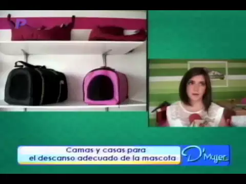 Camas y casas para el descanso adecuado de la mascota