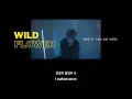 [한/ENG Lyrics] Wild Flower (prod.by JANG DAE HYEON) | 위아이(WEi)