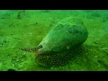 Download Lagu Pulau Hantu, Singapore, February 2017