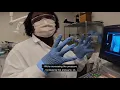 Virtual Lab Tour Biomedical Engineering with Dr Kennita Johnson at UNC-Chapel Hill