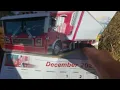 haileytimm3904 Thompson gas