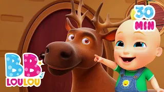 Dans Sa Maison Un Grand Cerf Chansons Ludiques Et éducatives Pour Les Enfants BB LouLou 