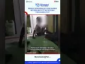 Download Lagu Berikut Sosok Bocah yang Nangis Histeris Minta Tetap Sekolah pada sang Ayah, Kini Jadi Perhatian