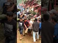 Download Lagu Filosofi pohon aren dalam pemakaman adat Toraja