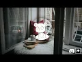 ASMR Home Sweet Home After Surgery Recuperation Support Comfort