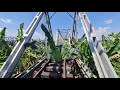Download Lagu TUMBUH POHON PISANG DI ATAS JEMBATAN KERETA API !