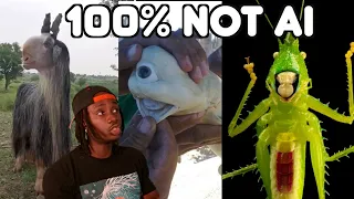 Animals That Not Even AI Could Come Up With