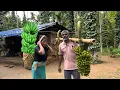 Download Lagu Bajar Kharcha Ke Liye Kele Kat Ke Lekar Aaya Aur Khane Ke Liye Jungali Sabji Lekar Aaya