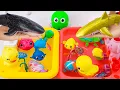 Download Lagu [Toy asmr] RC Whale \u0026 RC Dolphin \u0026 Baby Shark \u0026 Gold Duck \u0026 Aquarium ASMR Satisfying with Unboxing