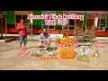 Download Lagu Ini dia Tips Perawatan burung kutilang pikat agar sehat dan Gacor