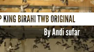 suara inap king birahi twb asli idowalet