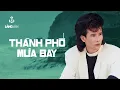Download Lagu Thành Phố Mưa Bay (Tuyển Tập) | Tuấn Vũ | Nhạc Vàng Tình Ca