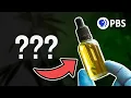How to Tell Your CBD is Legit