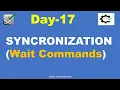DAY-17-Syncronization-Wait techniques in Selenium Webdriver