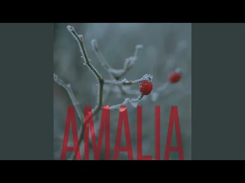 Download MP3 Amalia