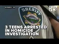 Lane County sheriff s detectives arrest 3 teens in double homicide investigation