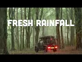 Download Lagu Relaxing Woodland Rain, Rivers \u0026 Fire‑Cooked Beef Casserole - Suzuki Jimny Camper [CC]