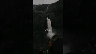 عمري مابغدر واقد اغفر لسا الدنيا بخير جورج وسوف حالات واتس اب 