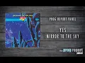 Download Lagu Prog Report Panel: Yes - Mirror to the Sky